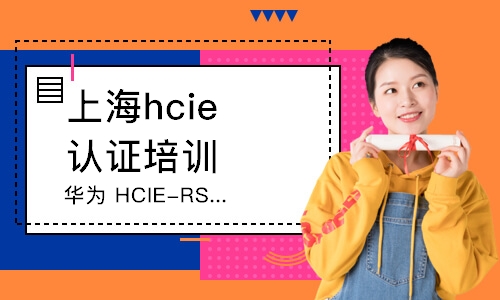 华为 HCIE-RS 直通车