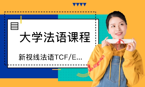 南京新视线法语TCF/E-TEF考级班，寒假强化学习