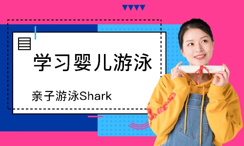 天津亲子游泳Shark