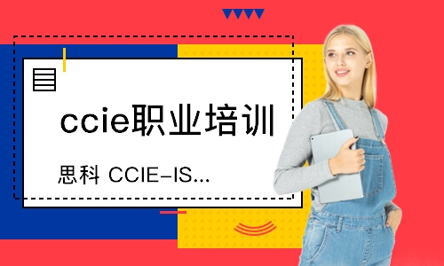 思科 CCIE-ISP 直通车