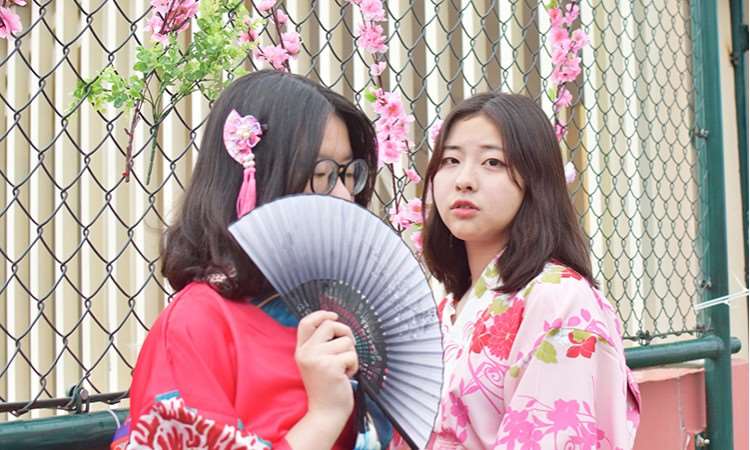 日语樱花节
