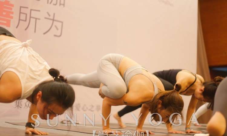 尚艺瑜伽·18年12月SERI公益大会