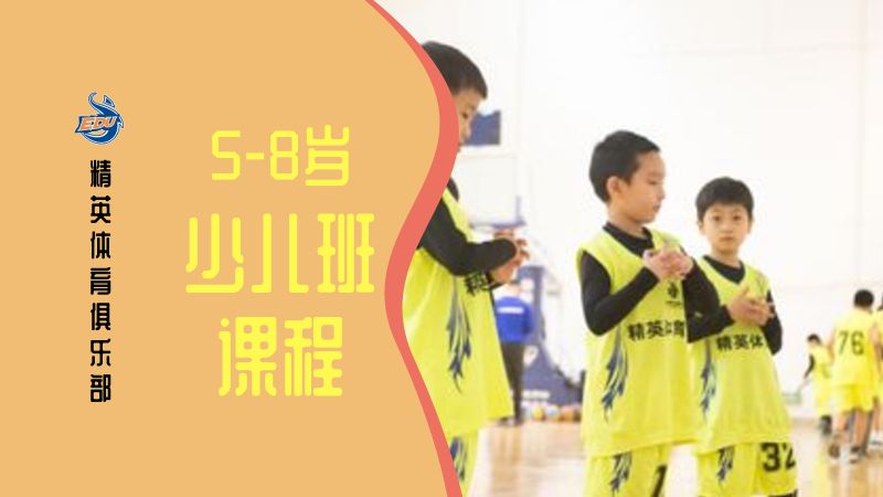 天津小学篮球培训机构