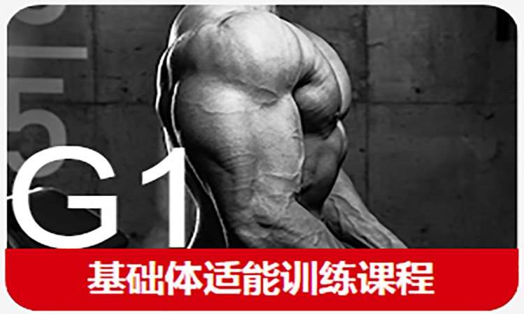 上海567GO·G1基础体适能训练课程