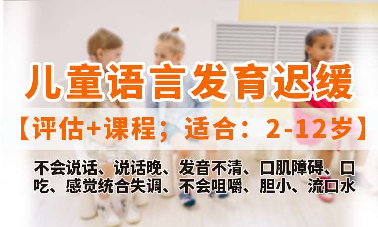 武汉儿童语言发育迟缓（评估+课程）