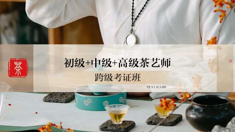 重庆茶艺师培训班