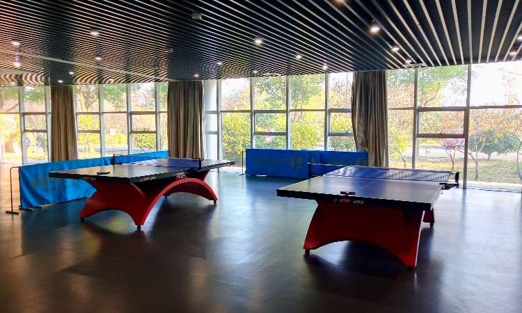 同方科技园实训基地乒乓球室
