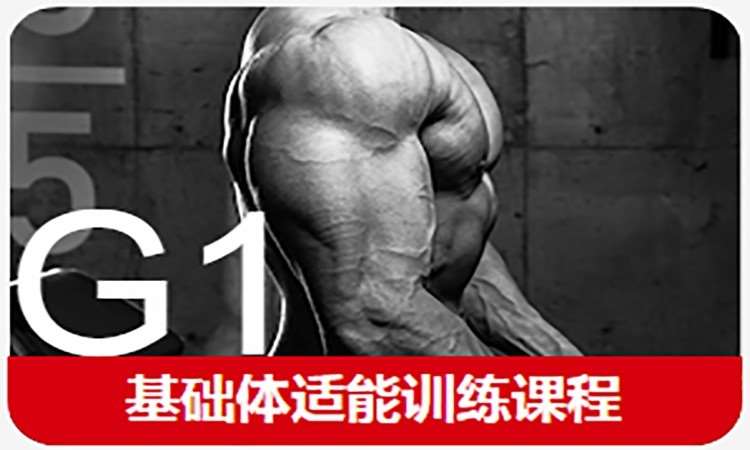 郑州567GO·G1基础体适能训练课程