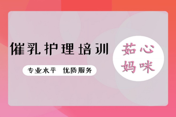 郑州催乳护理培训