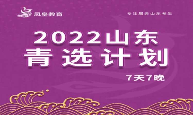 2023山东青选计划