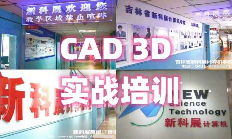 CAD/3D培训