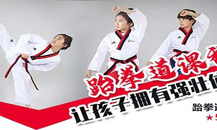 北京青少年跆拳道培训机构