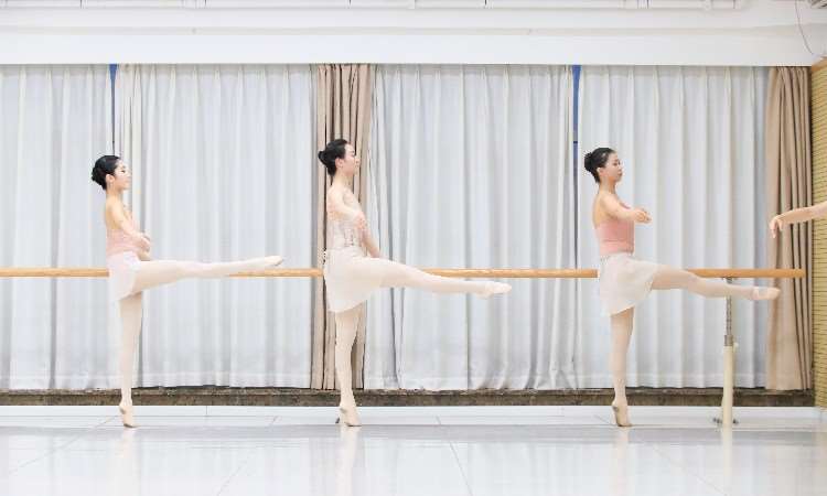 芭蕾舞蹈成人课堂