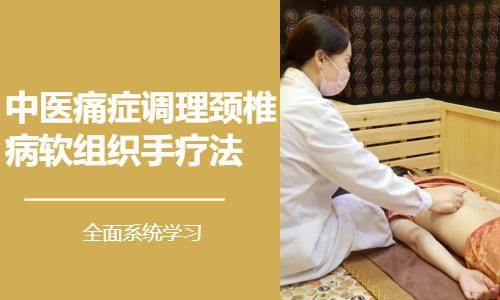 中医痛症调理颈椎病软组织手疗法课程