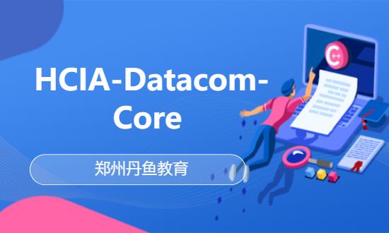 HCIA-Datacom-Core 