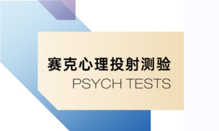 北京赛克心理投射测验