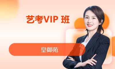 深圳艺考VIP班