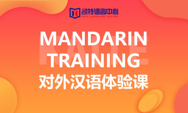 北京对外汉语专业培训