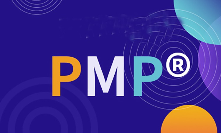 PMP® 项目管理