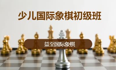 深圳少儿国际象棋初级班