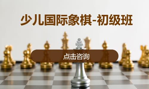 少儿国际象棋-初级班
