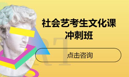 郑州社会艺考生文化课冲刺班