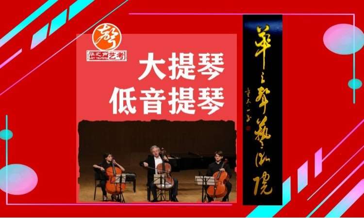 深圳大提琴、低音提琴培训