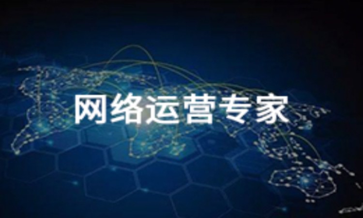 上海网络运营专家