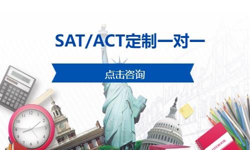 SAT/ACT定制一对一