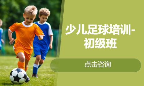 北京少儿足球培训-初级班