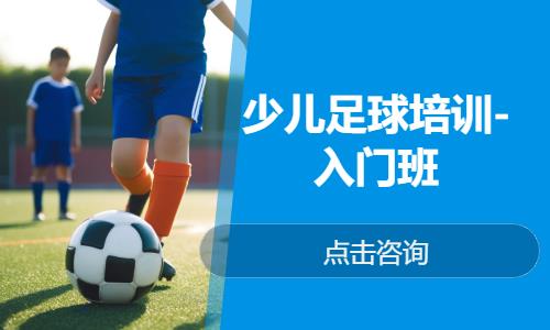 北京少儿足球培训-入门班