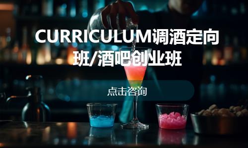 郑州CURRICULUM调酒定向班/酒吧创业