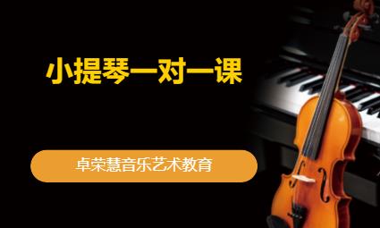 东莞成年人学习小提琴